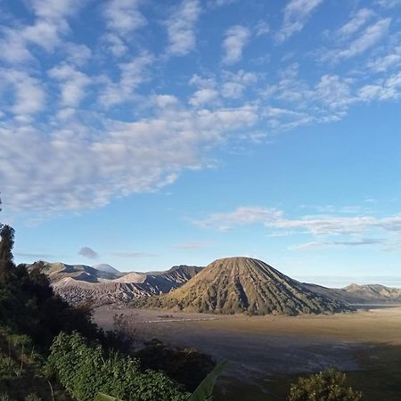 Tengger Indah Seruni Bromo Probolinggo Dış mekan fotoğraf
